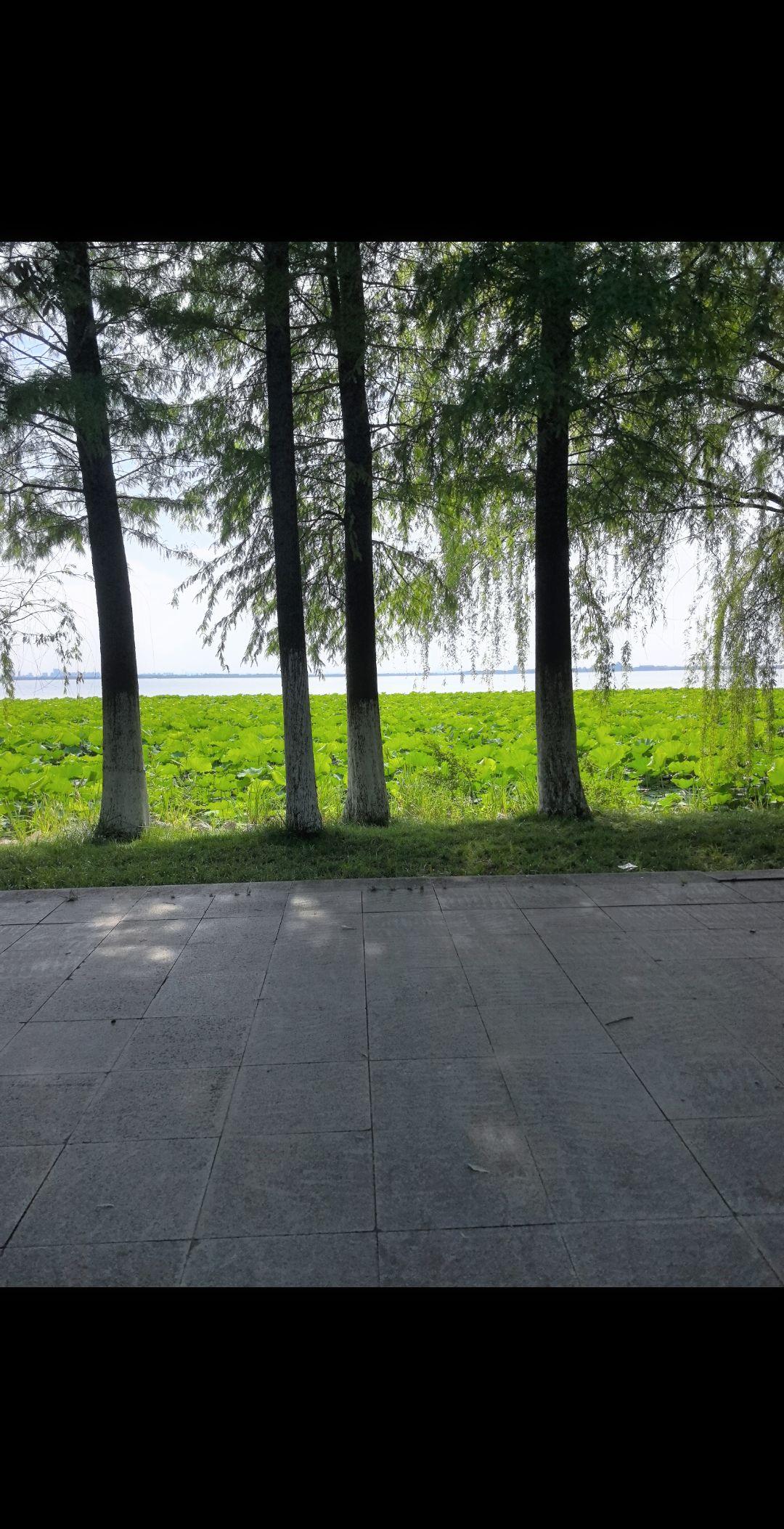 物物而不物，念念而不念