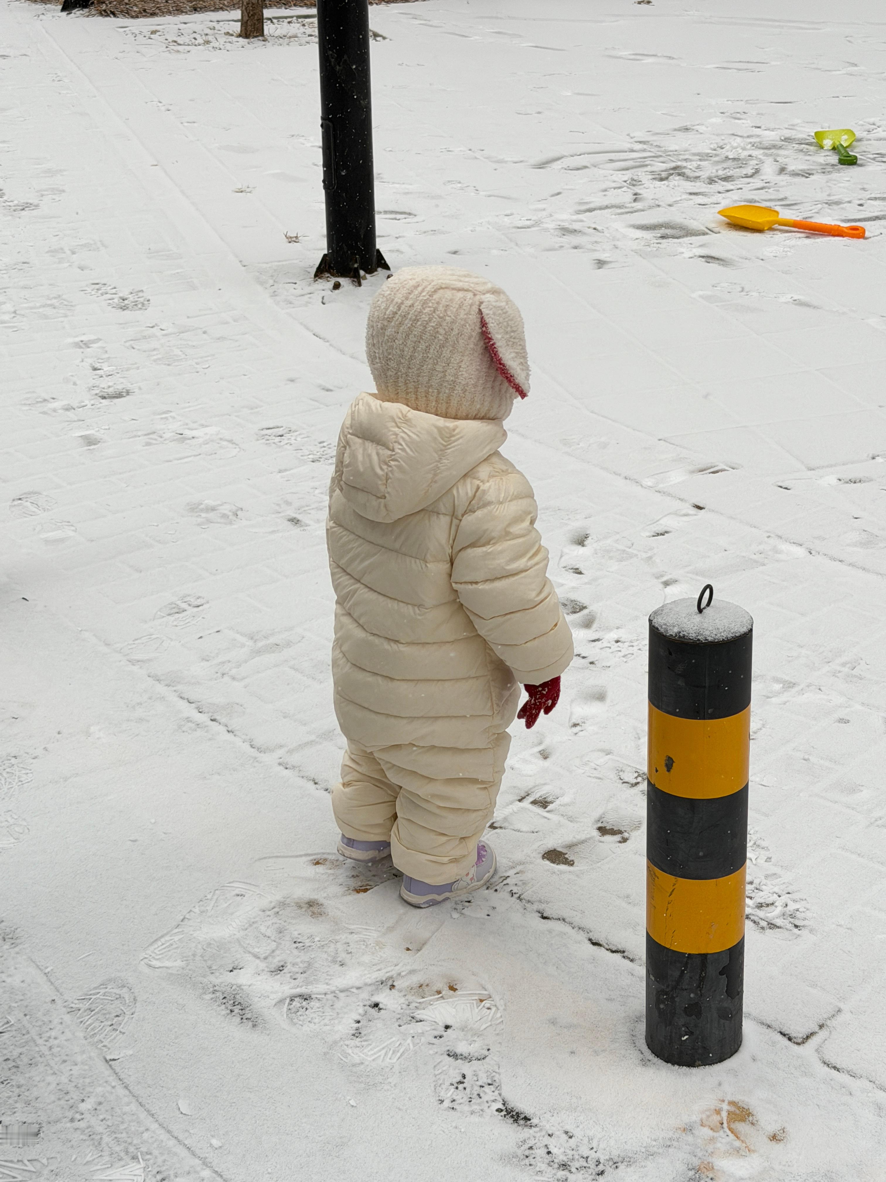 2025初雪摄影大赛什么时候下雪啊，想跟你一起看雪然后再一年 再看雪再一年再一年