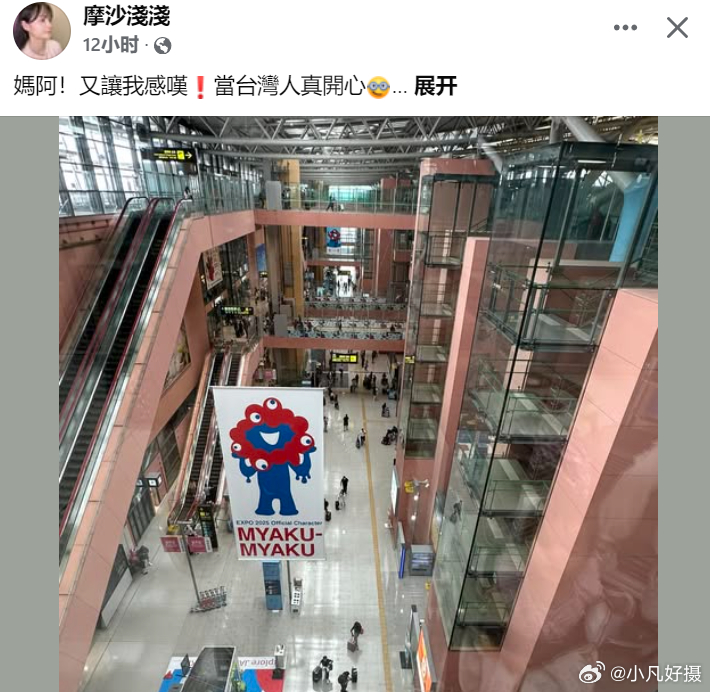 这只台独“绿配蛙”时间还早，未来还有更多“开心的事”！绿配不是陆配黄媒不会说的真