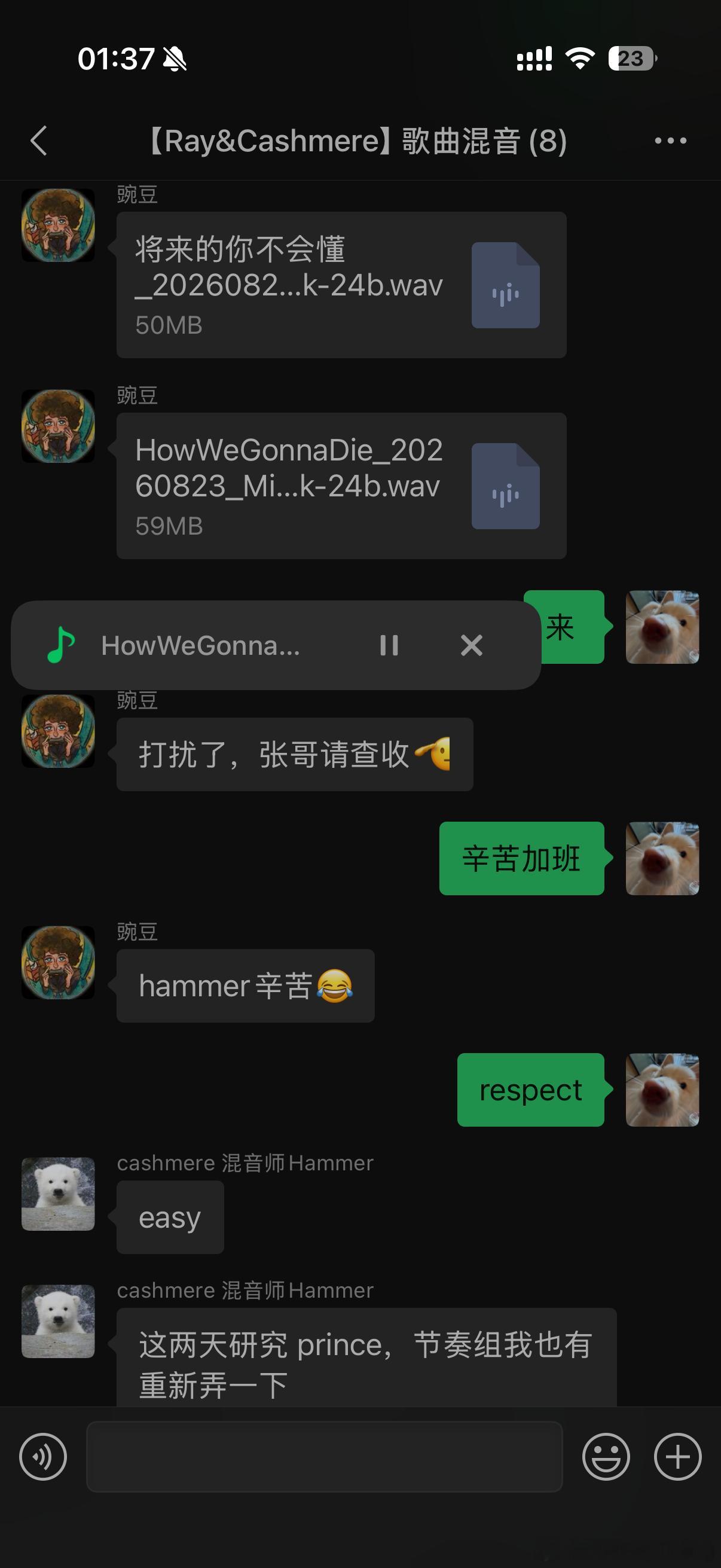 专辑就这样一点点搭建中，准备一鸣惊人了家人们，我将把表达做到极致 