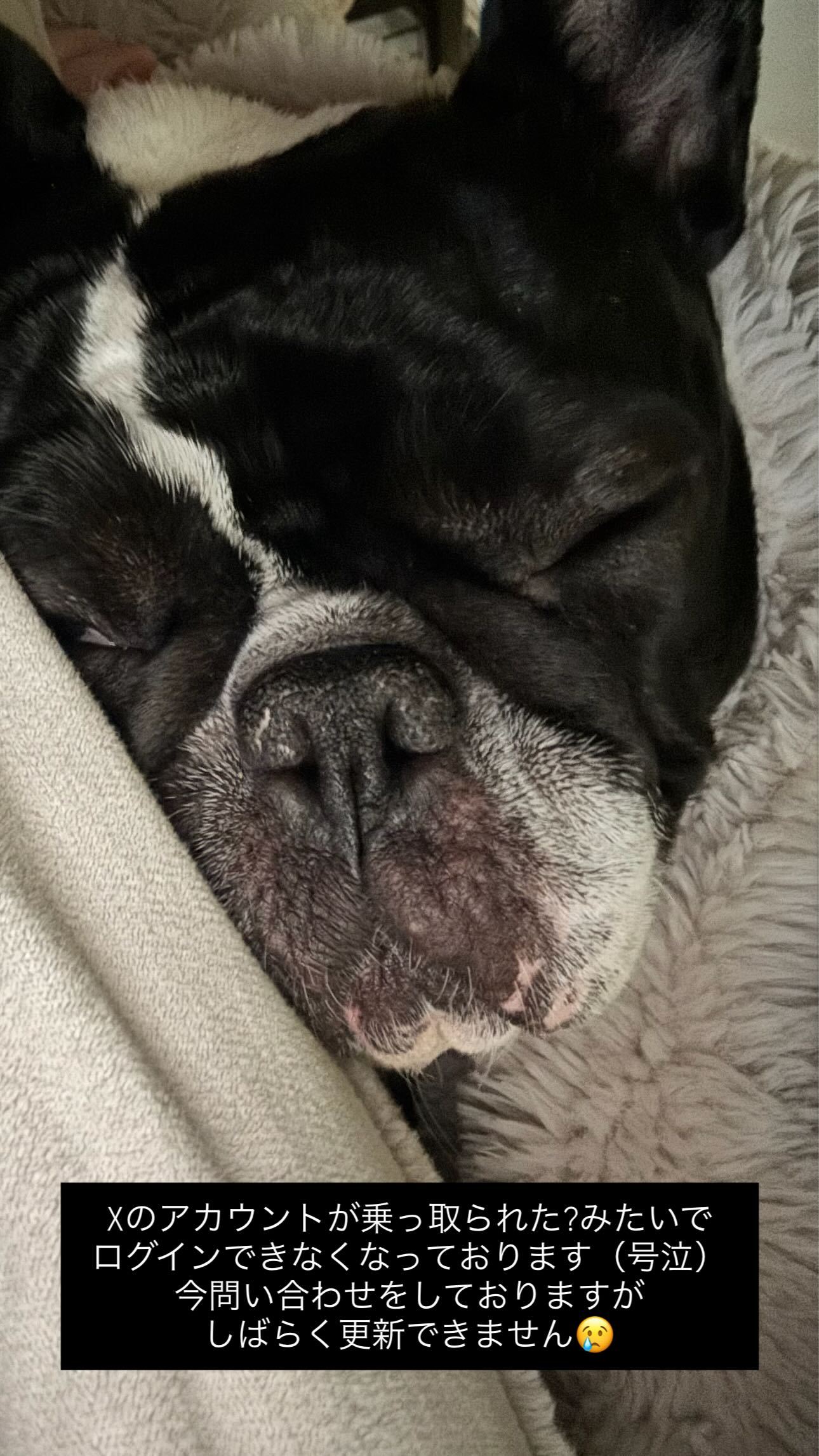 齋藤冬優花　　fuustagram