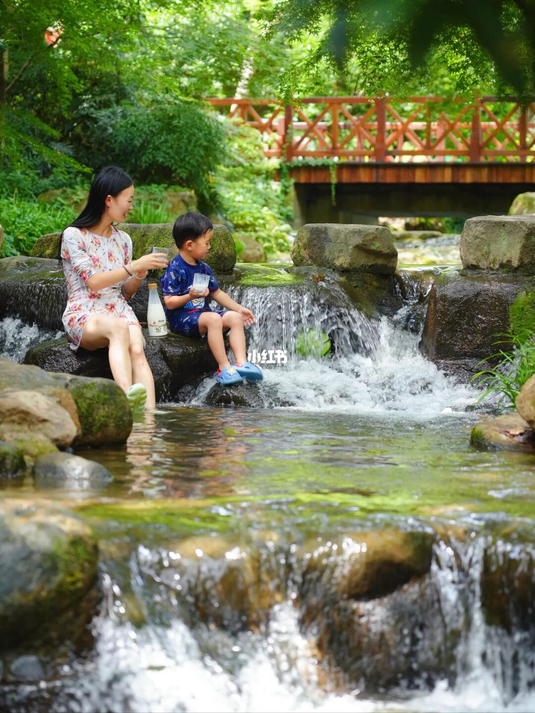 西湖边的玩水秘境‼️停车免费，茶山环绕