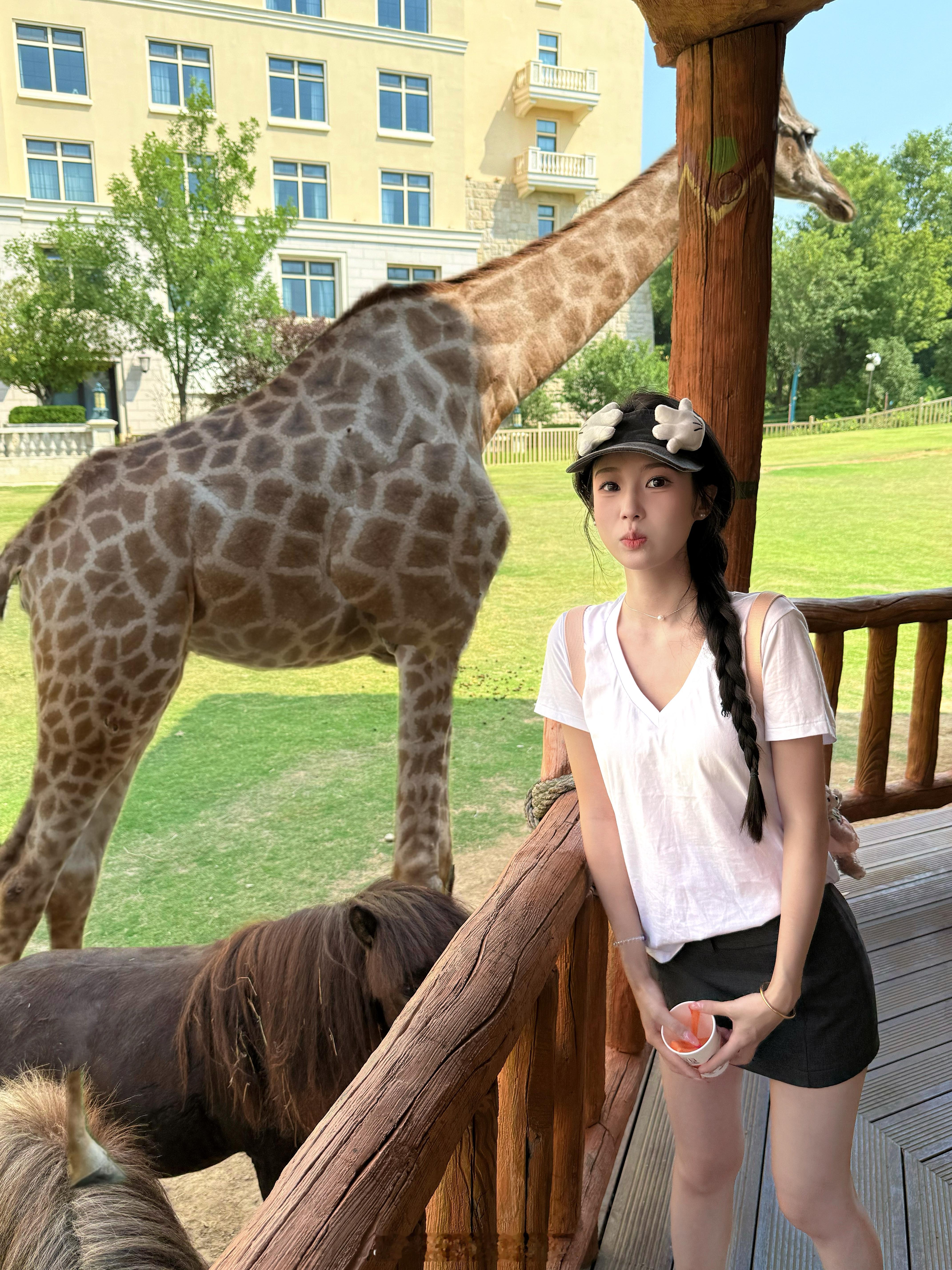家人们也是好起来了 这次接到了银基的广子 还体验了酒店长颈鹿早餐 不用花米的感觉