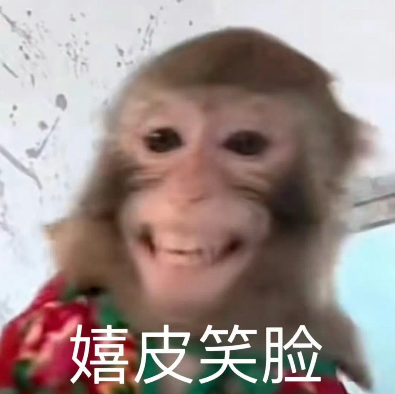 glm爱猴人士少在背后蛐蛐你红途爹 就算当面贴我脸也没在怕的 以为我线上线下少被