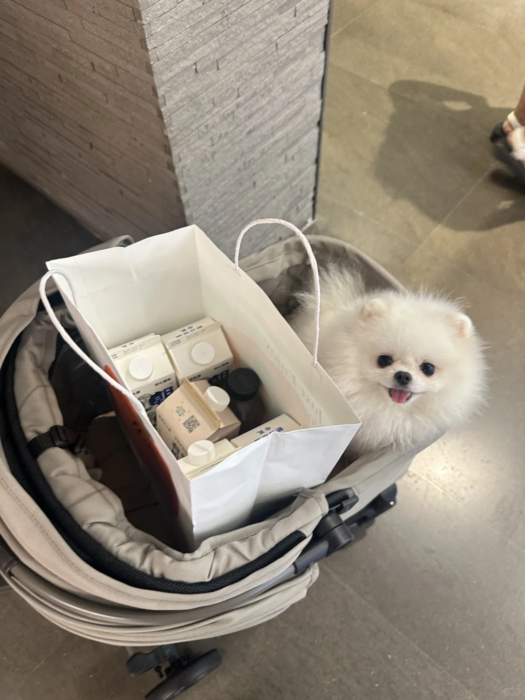 我虽然不是人 但你是真的狗