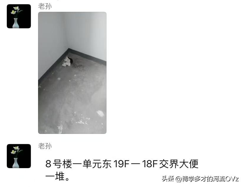 今天是金碧物业走后的第180天，大明物业的第88天。

今天带头大哥告诉我，他把