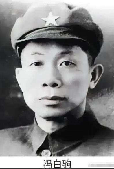 1971年，重病的浙江副省长冯白驹写了一封求救信，伟人读后，立即派人喊来广州军区