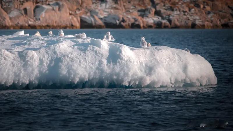 美国觊觎格陵兰岛，核心是看中其无可替代的北极战略地位与丰厚资源。这座世界第一大岛