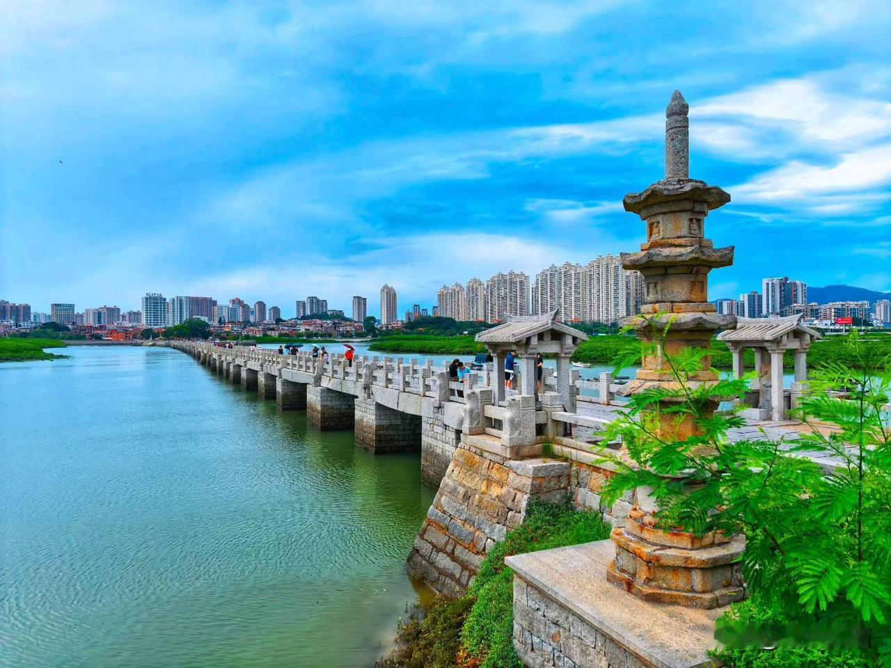 塔桥砖树，宋元至今，都没走远——泉州印象。
图文原创：哈里静
夏日生活打卡季