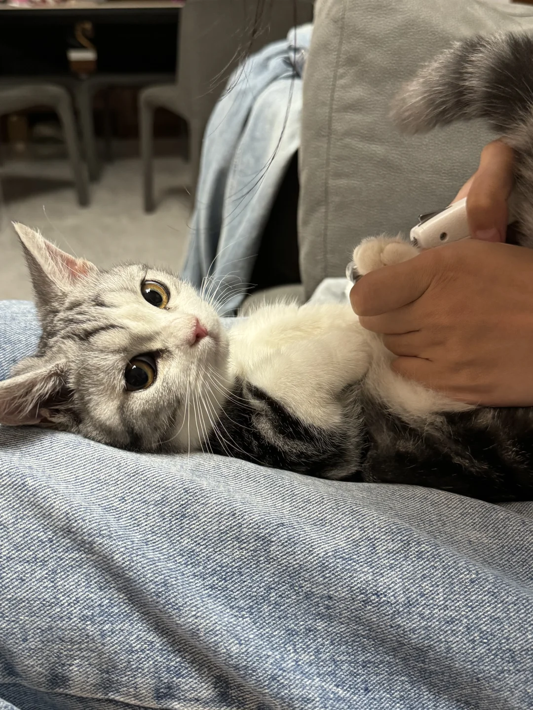 是哪个剪指甲乖乖的小宝呀