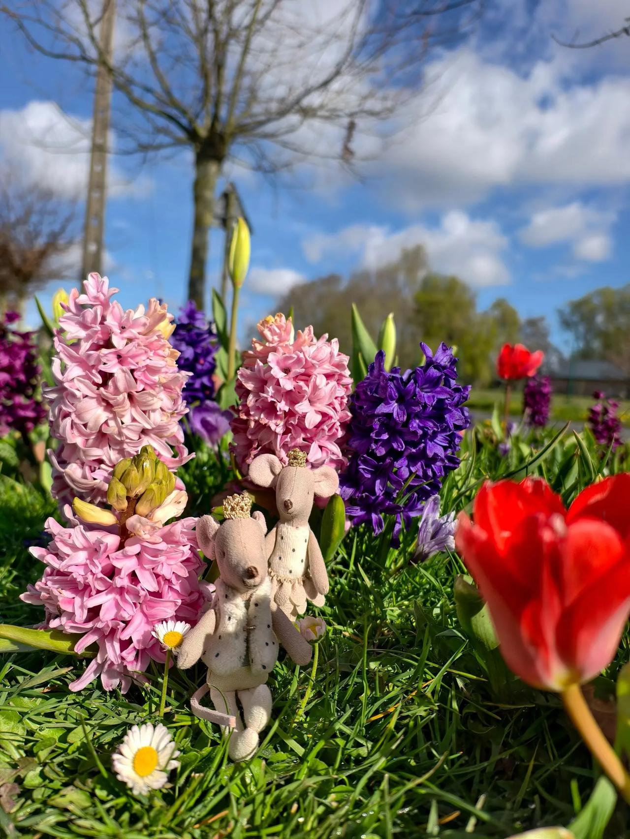 世界那么大，连动物都是暖心的，想想我们的生活，非说不幸运，那幸运永远是站在你身后