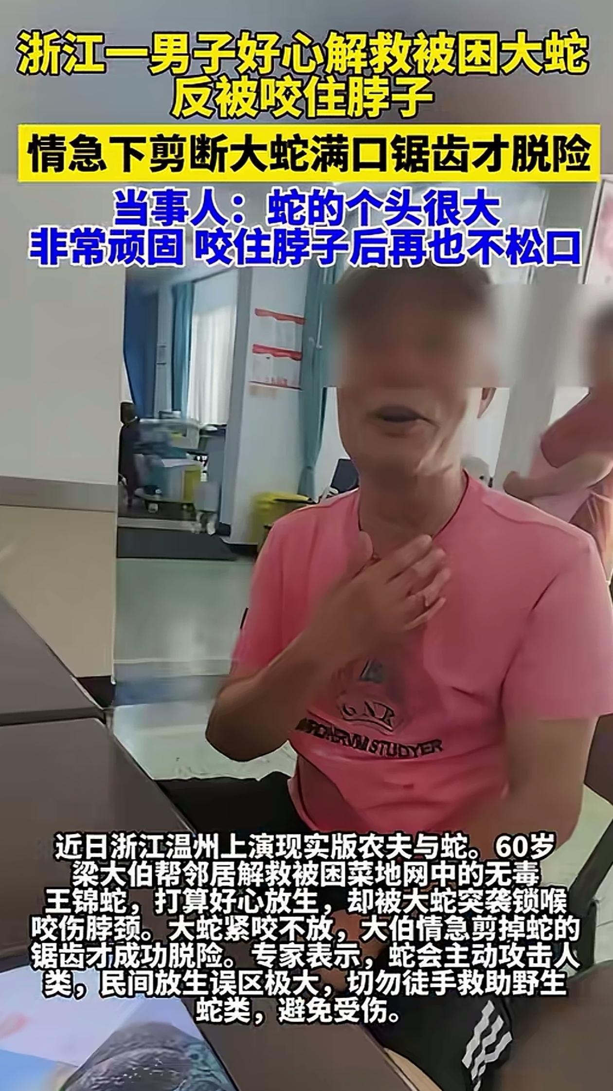 “现实版农夫与蛇！”浙江温州，男子看见一条无毒的王锦蛇，被菜地的网缠住，就想帮它