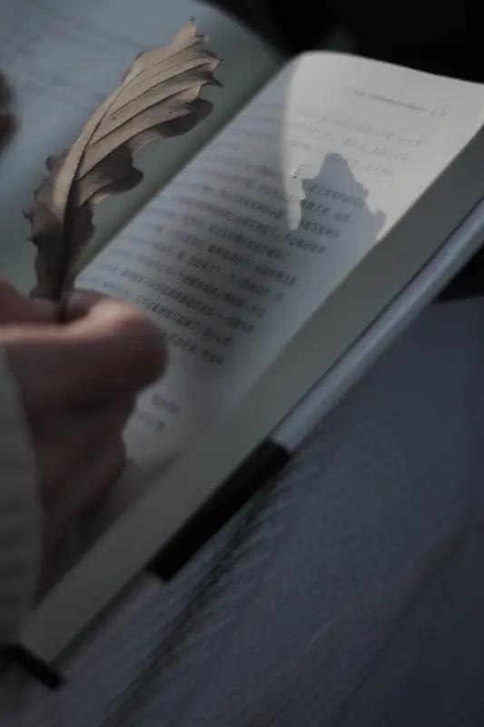 看到“孤独书是友”这个上联，一下子就来了兴致。对联讲究对仗工整，意境相符。我对“