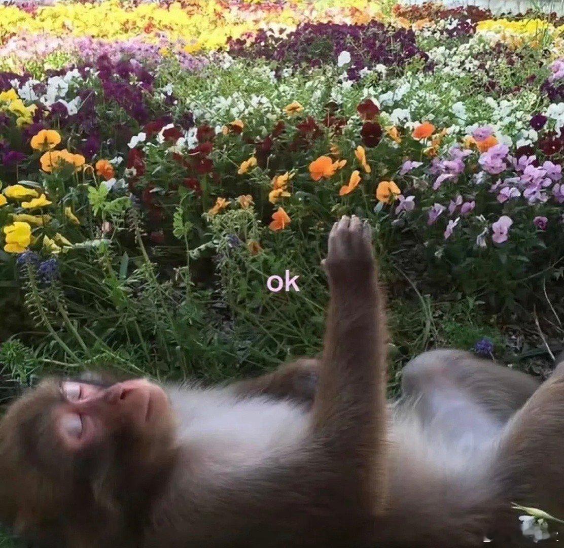 主动久了也会累！ 