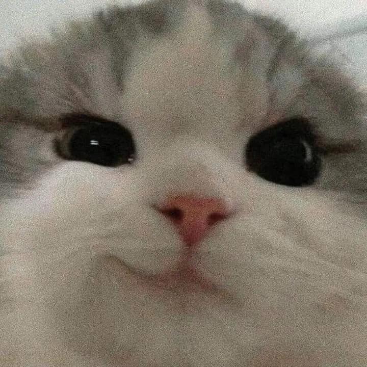 一模一样 