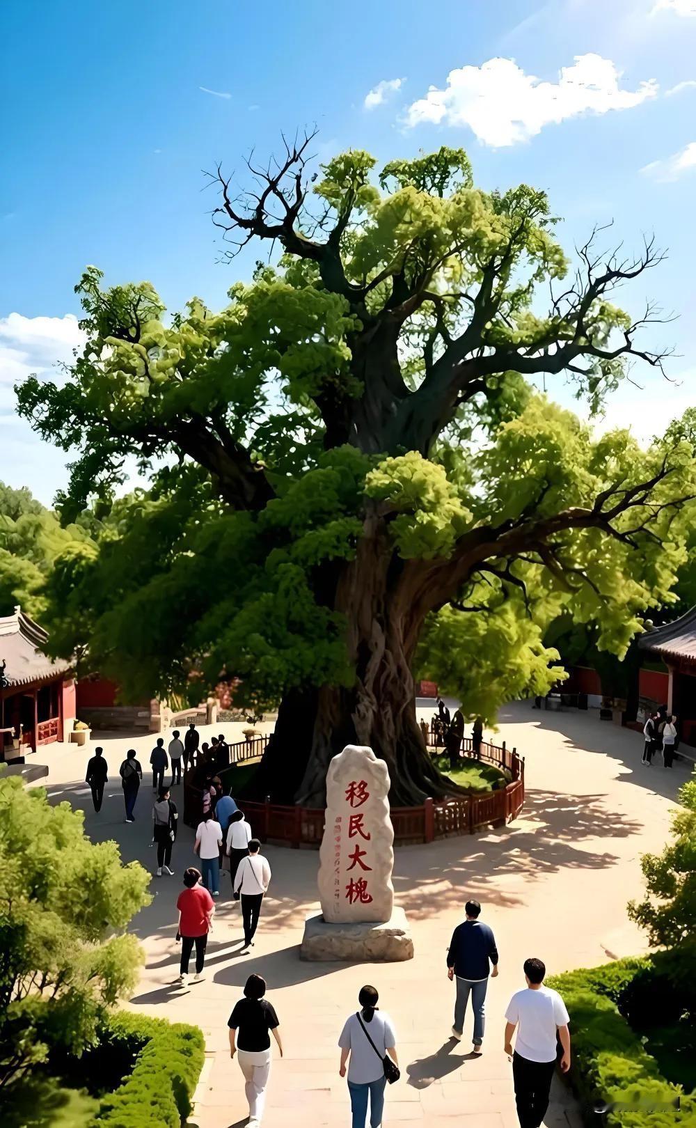 山西洪洞大槐树位置在哪寻根问我祖先在何处，山西洪洞大槐树这句话对吗？答案是不存在