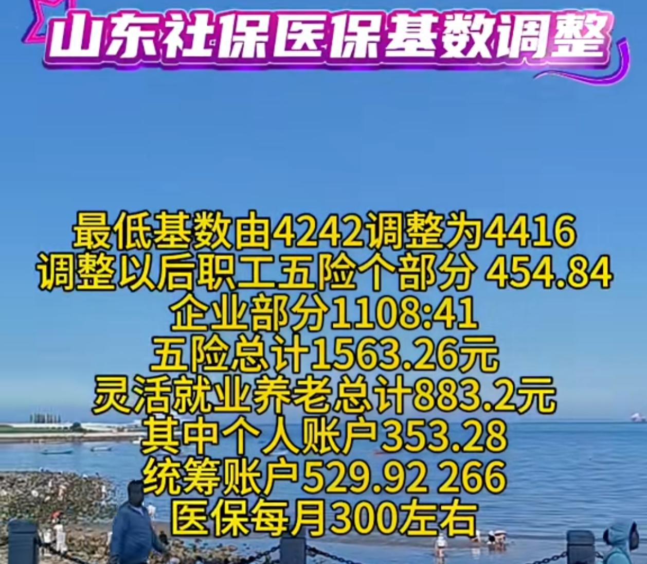 山东医保基数