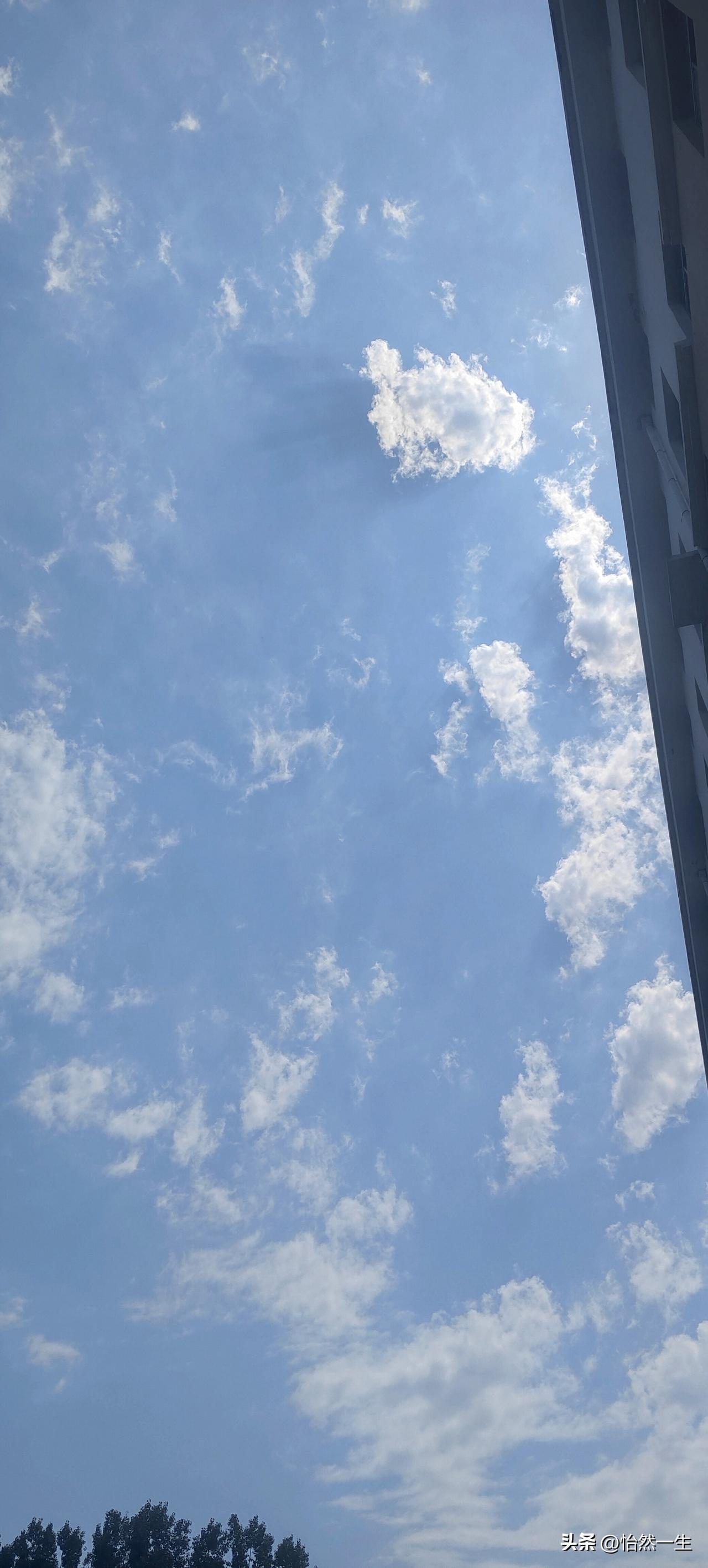 变态越来越多，啥话都敢说

同事发了个抖音，发了一个坐在车里的图片，留言有的说：