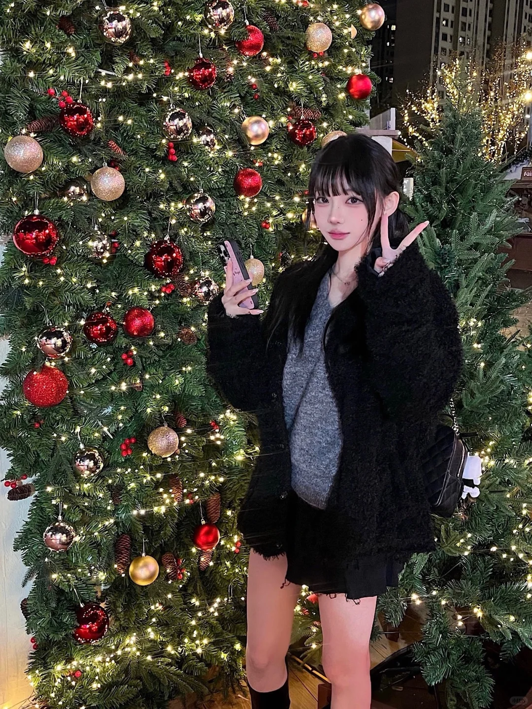 圣诞月plog *｡✮
