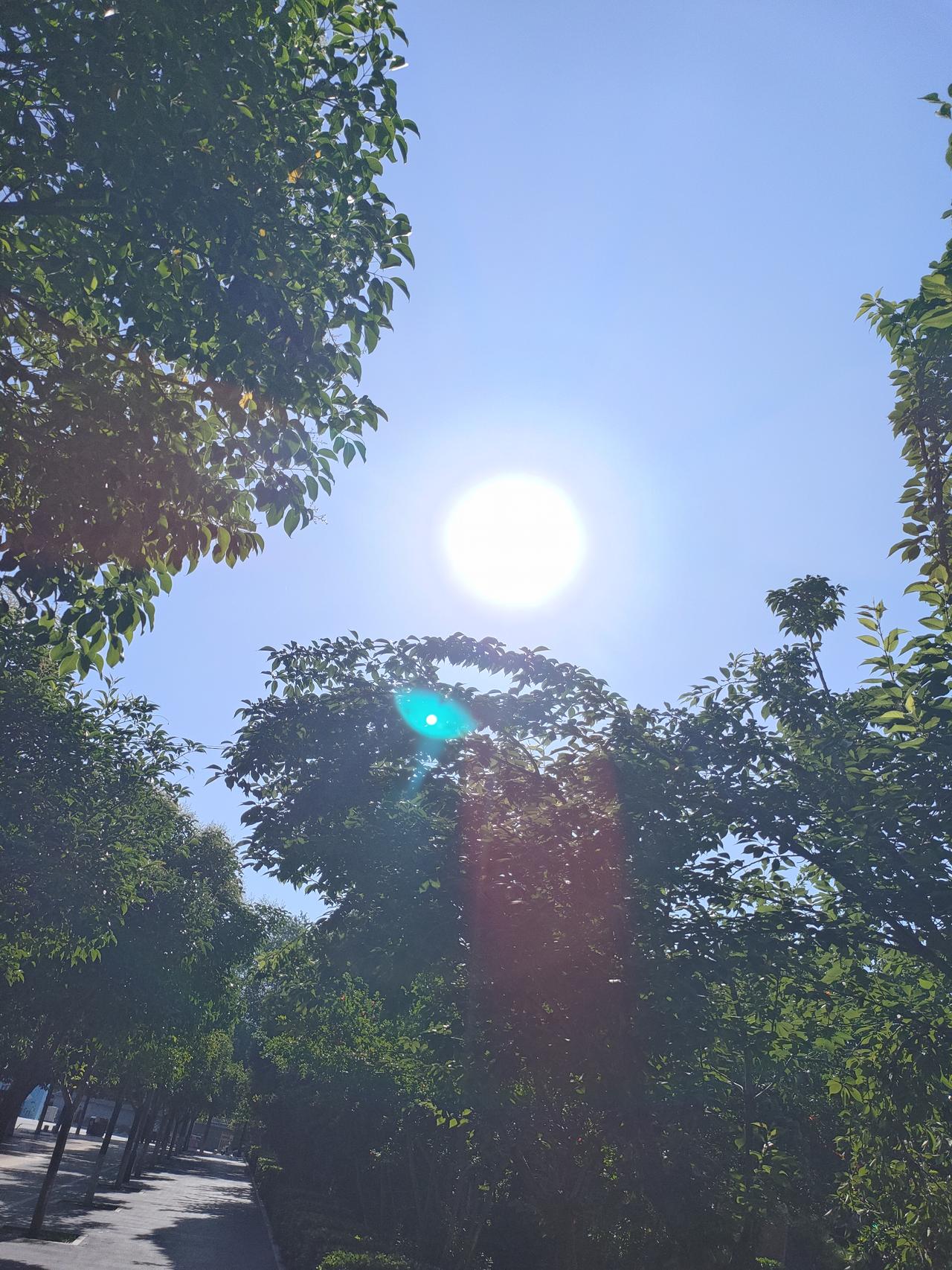 ​2. 树隙藏光，心静生凉
​3. 捕捉一缕林间日光