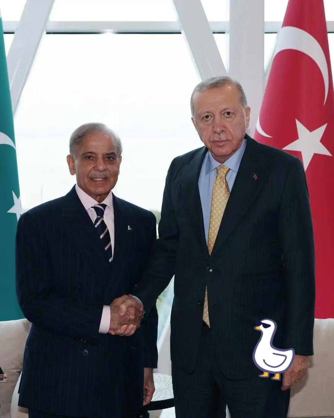 快讯！快讯！
土耳其总统支持巴基斯坦与阿富汗对话 呼吁维护停火成果。
当地时间1