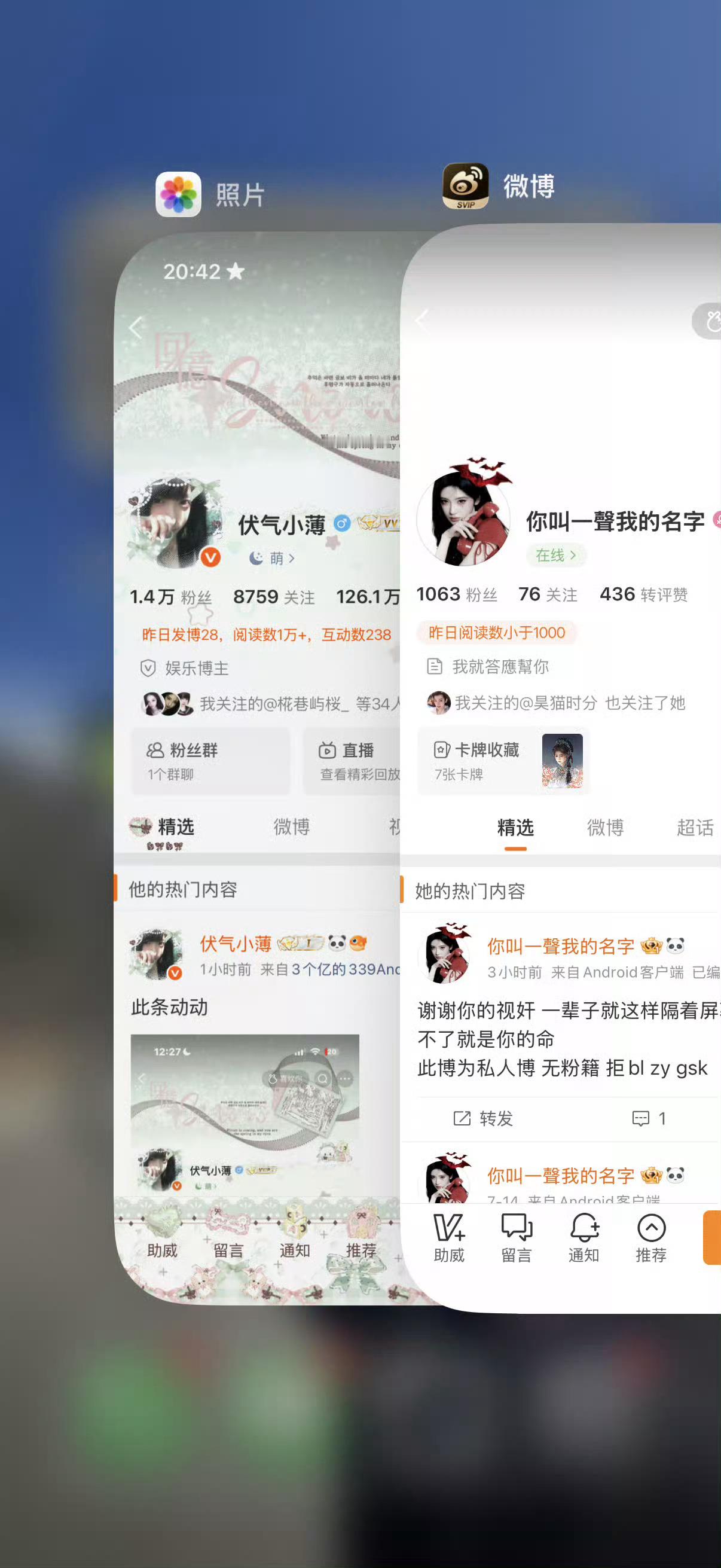 此条动动 