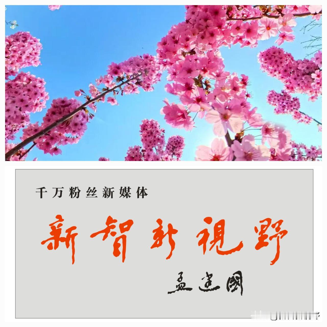 陕西省委宣传部原副部长、省政府副秘书长为卢新智的工作室题匾陕西文艺界 陕西档案馆
