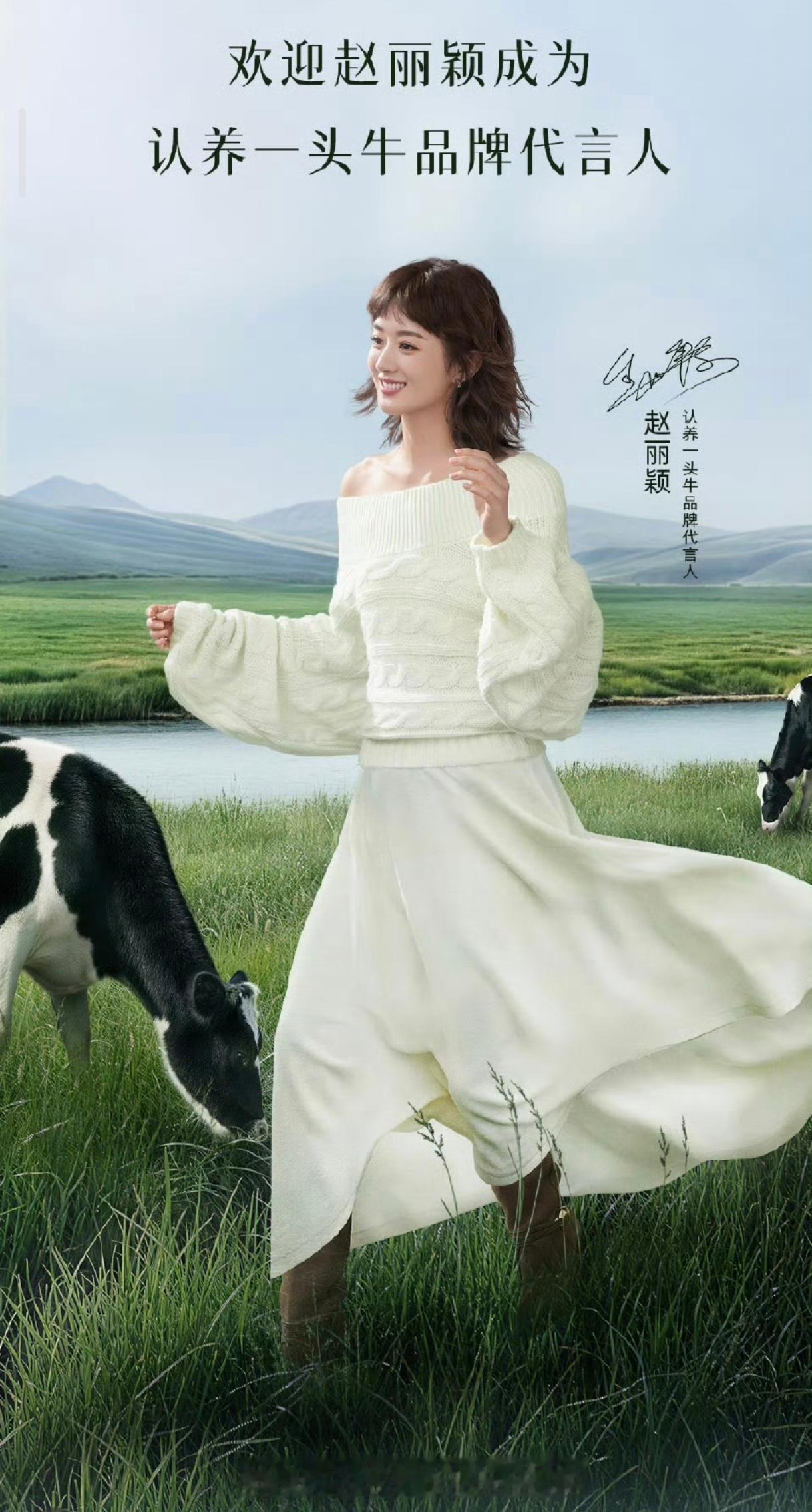 赵丽颖认养一头牛品牌代言人官宣，代言人的开屏已经看到啦