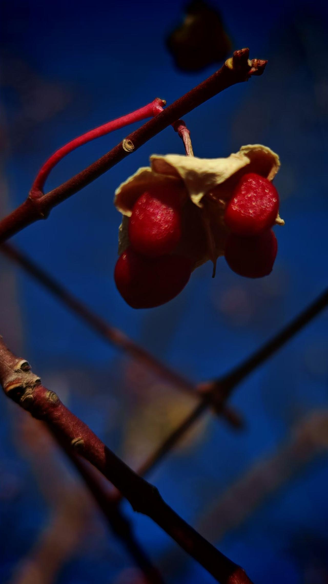 抓住深秋的尾巴