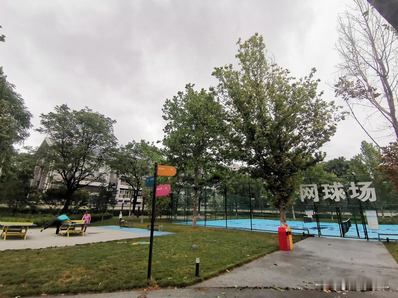 昨天下午一场大雨，再加半夜小雨，早上西安凉快多了。预报未来一周西安都有雨，气温适