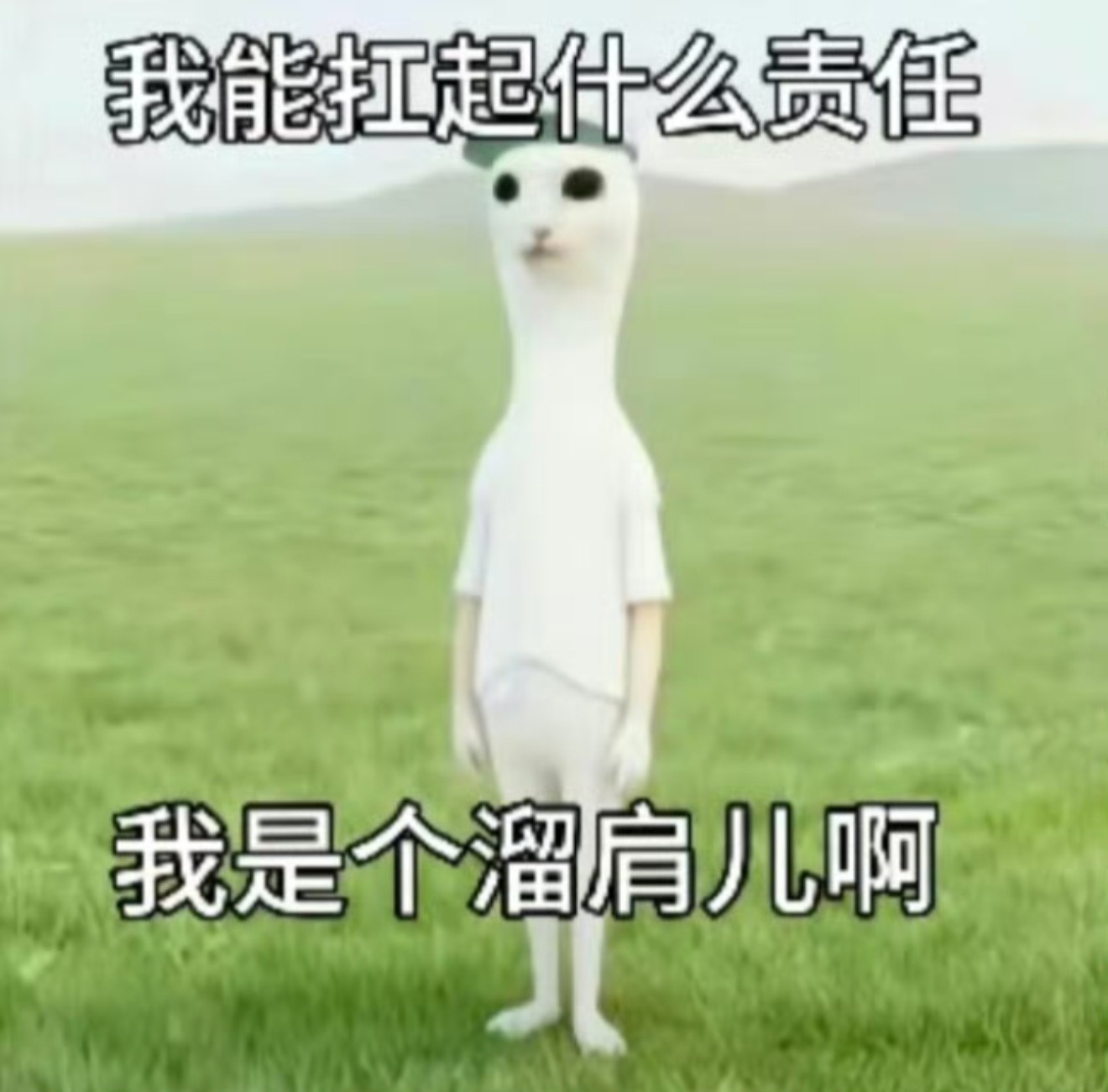 捞虾每次做完坏事，就在热搜里面甩锅给别人，毕竟是溜肩，能扛起什么责任。 