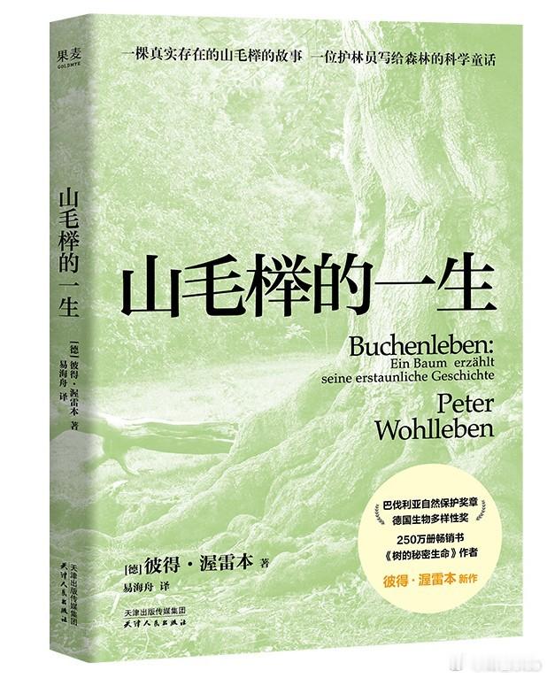 知書club 新书介绍丨⼀棵真实存在的山毛榉的故事，⼀位护林员写给森林的科学童话