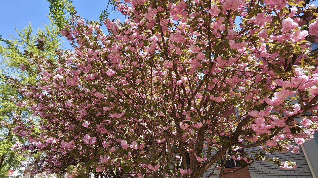 吃好睡好，又能节奏安稳，又能保持挣钱额度。