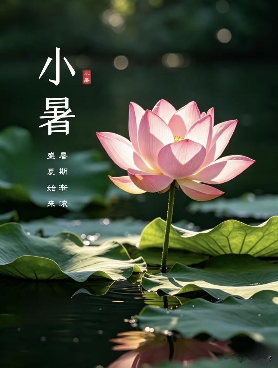 “上午小暑，旱干河，下午小暑，水满江”，今年小暑在几点？
民间素有“上午小暑，旱