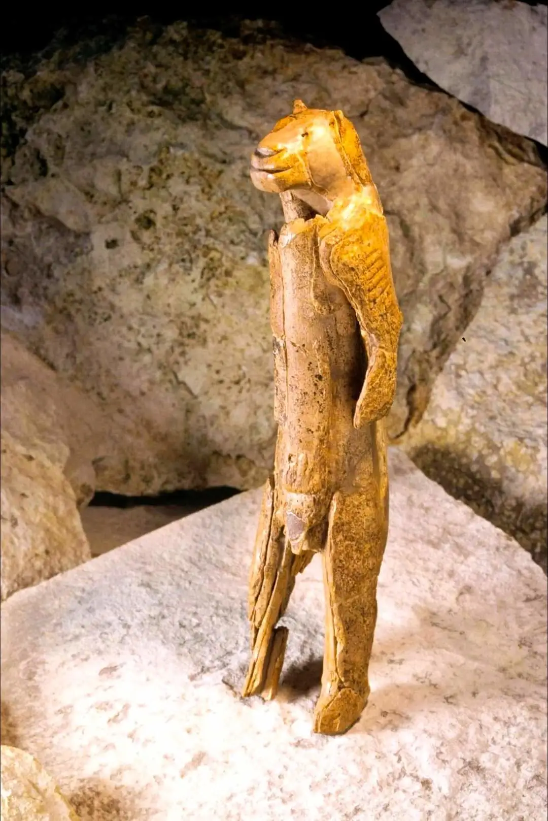 狮人雕像是用猛犸象牙雕刻而成的，距今约 38,000 年，是已知最古老...