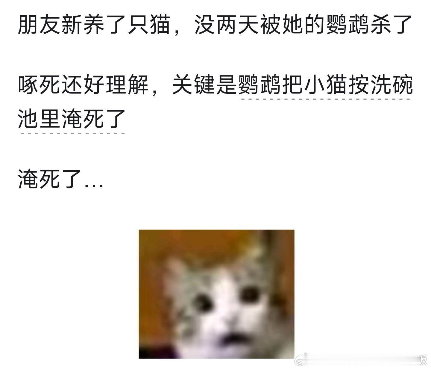 为什么中大型鹦鹉一直都不开放售卖？ 