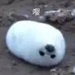 菊羽侃汽车