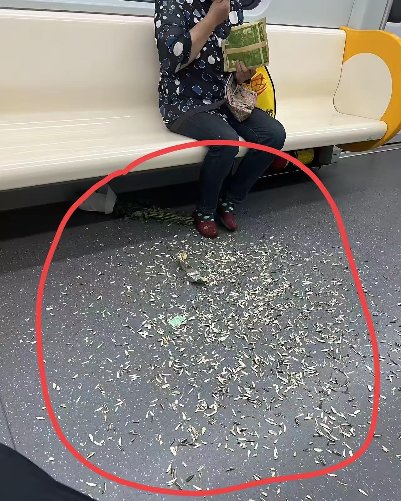 高铁上见到这一幕太让人烦心了，一个妇人拿着一大包瓜子嗑，瓜子壳吐的地铁地板上遍地