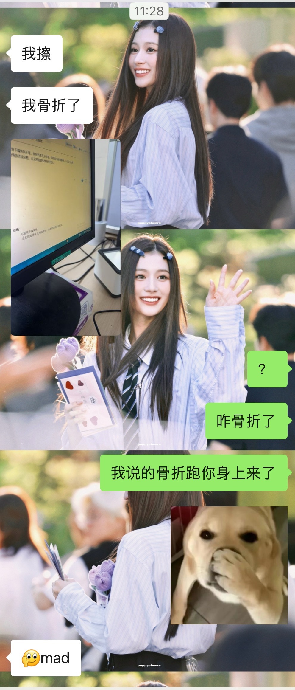 不是我瘟的哈 