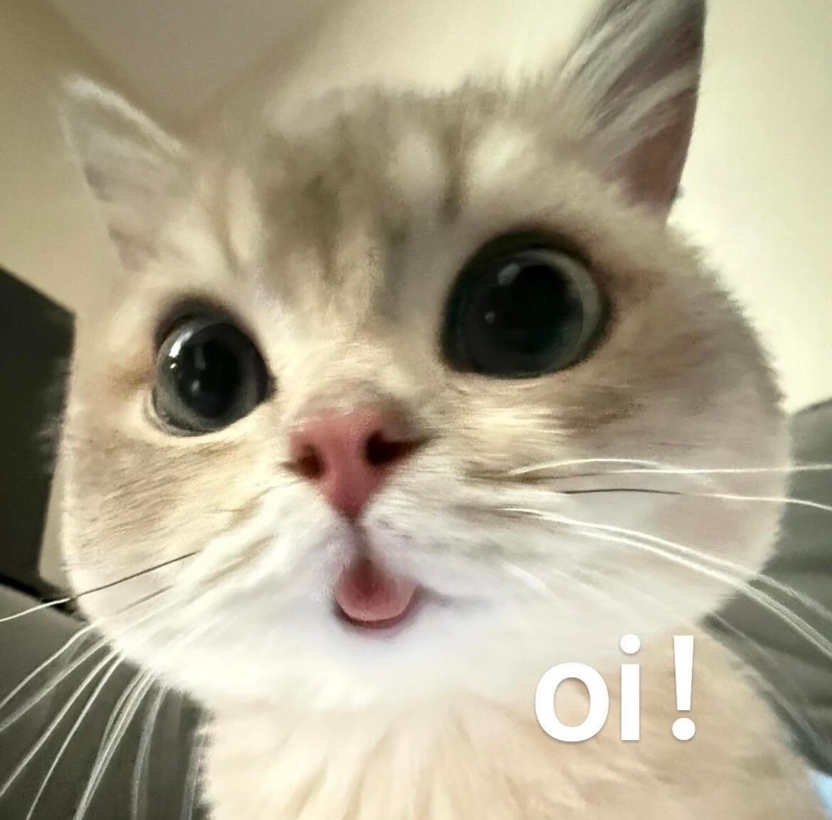 明天终于可以化妆了！ 
