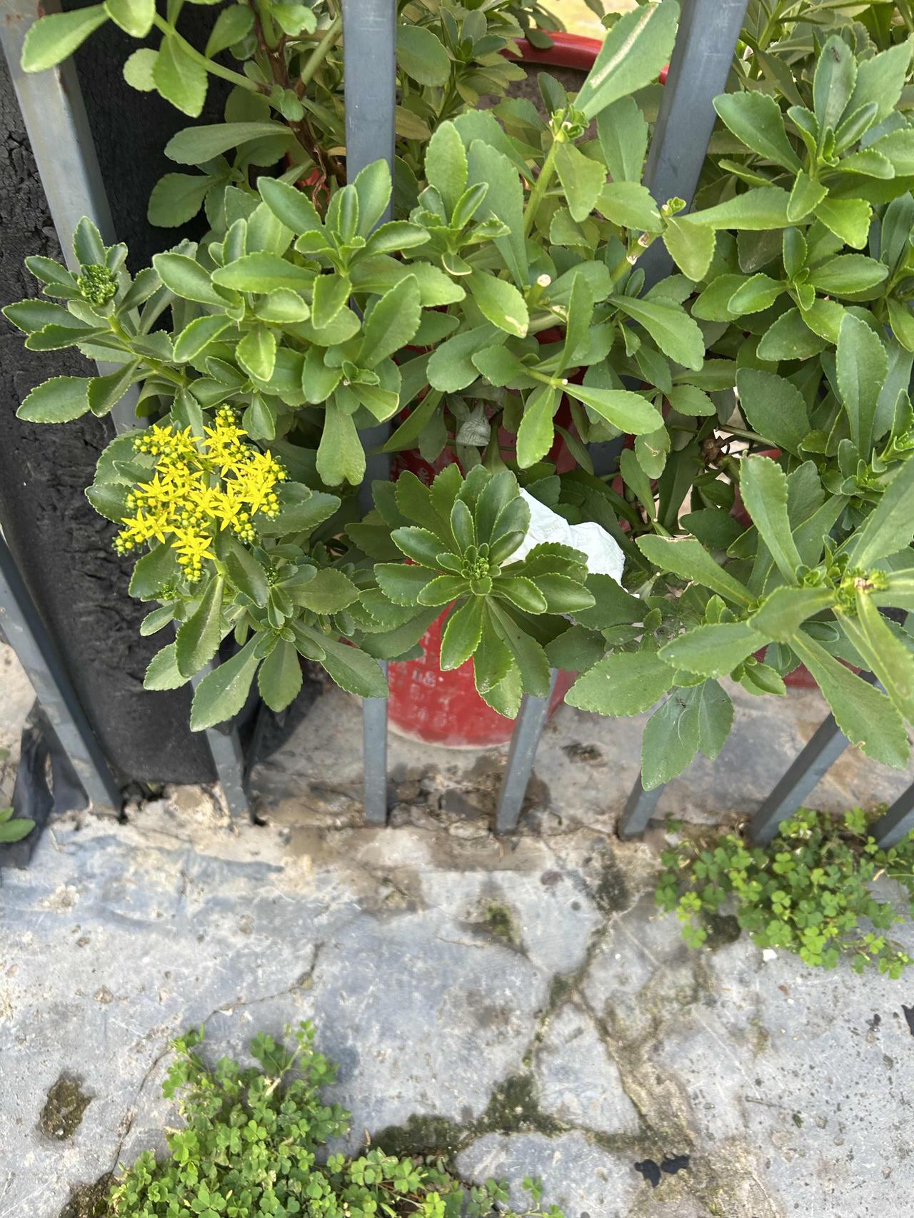 最近全网都在说金价涨跌，而就我像个异类。
 
刷短视频刷到到处都在说金价大跌，别