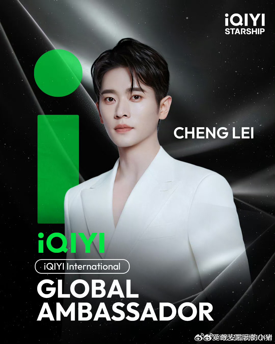 丞磊爱奇艺国际版全球代言人正式官宣