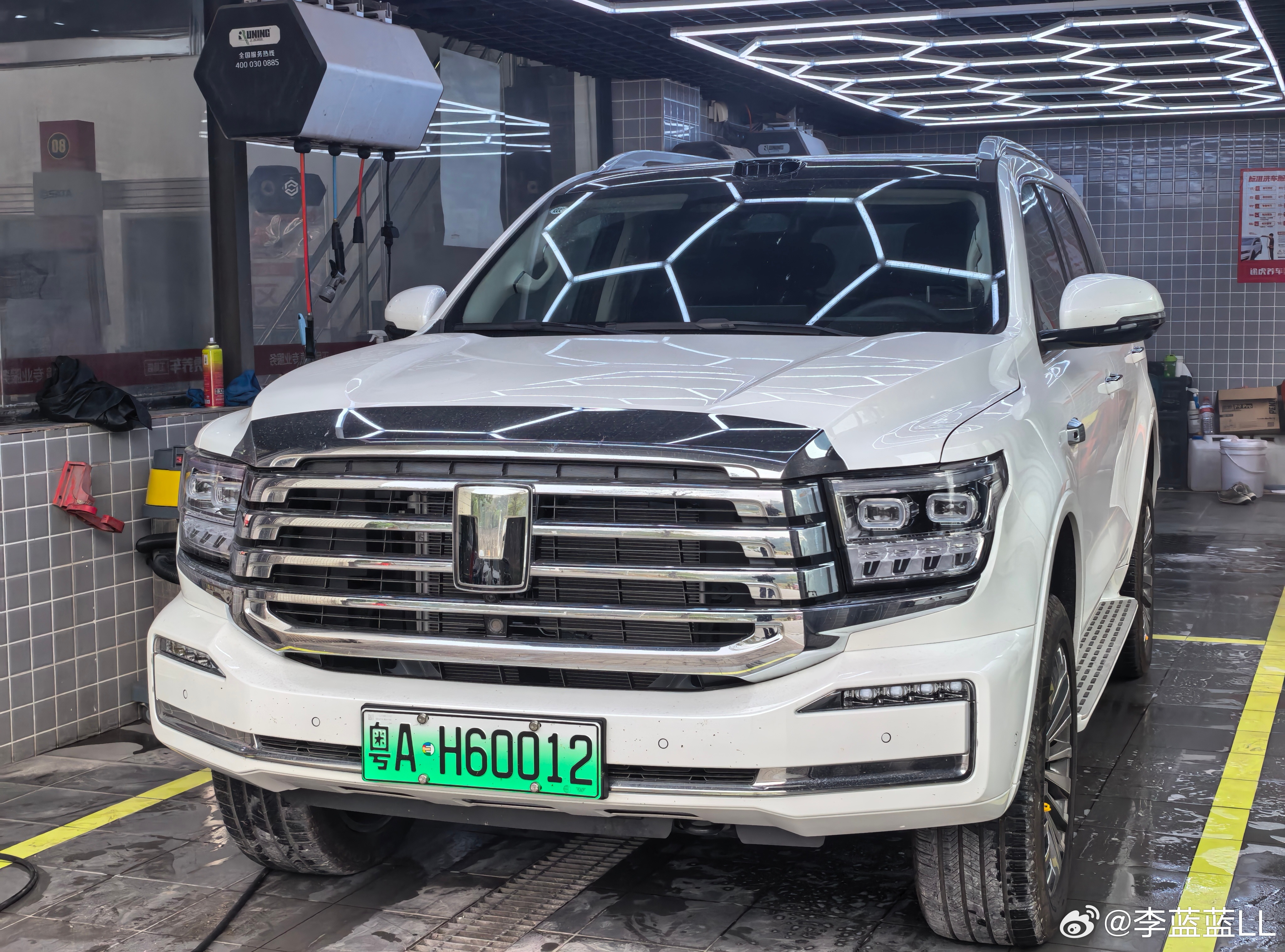 雨停了，给大白洗白白。