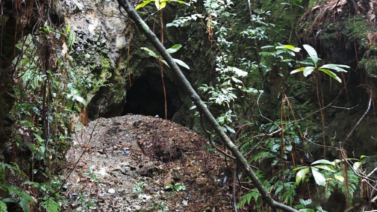 #实地探访哀牢山#确实，自从那位视频博主“山取画材”把哀牢山拍摄发布到网络上后，