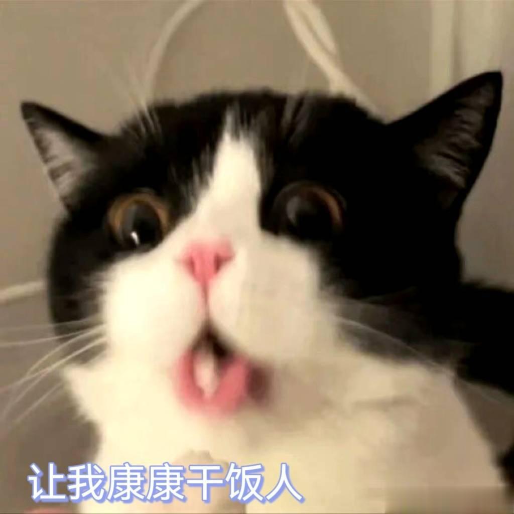饿了么你有点子东西哦，一日三餐都打5折的饿了么谁能不爱，锁定饿了么，等你来炫饭~