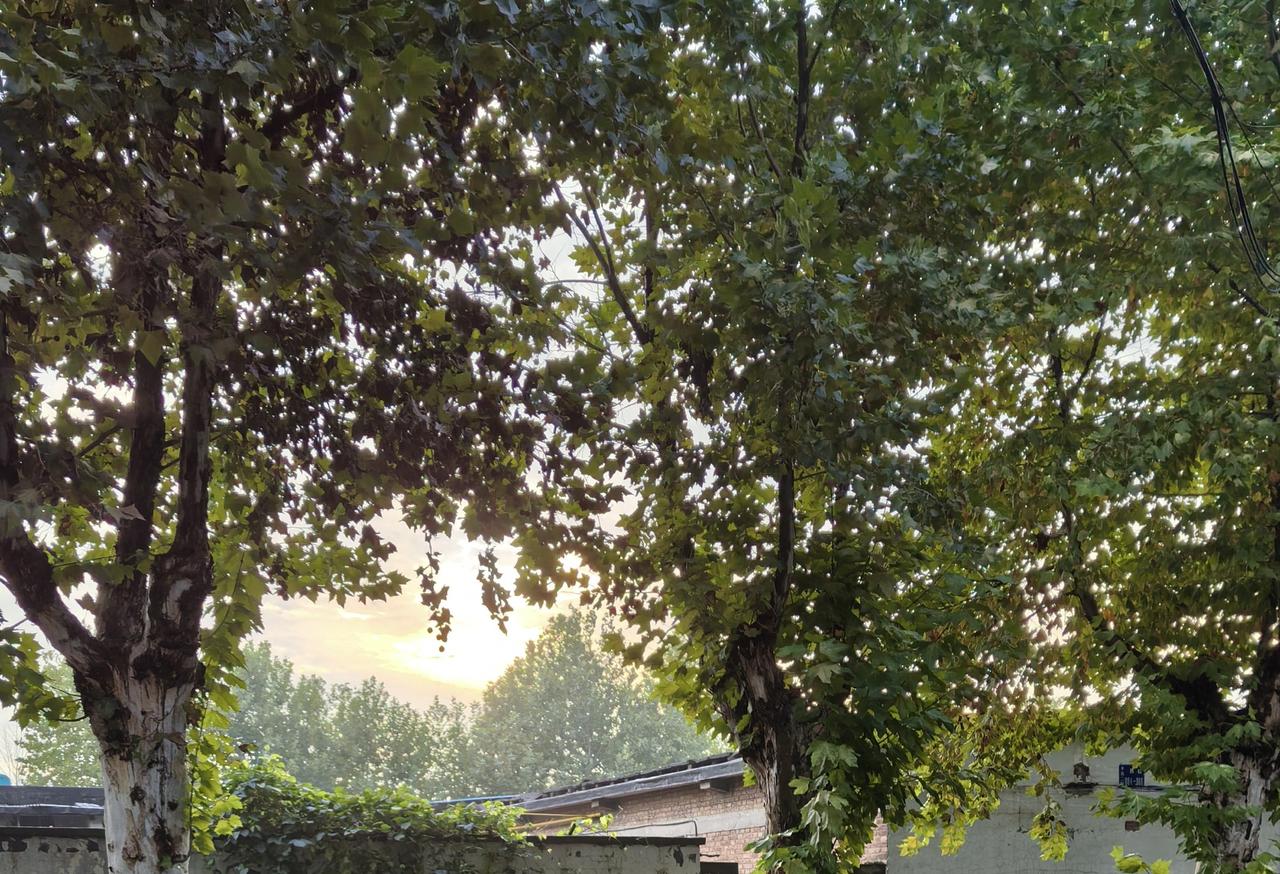 久违的太阳，把生活晒出了暖意
 
咱就说，这太阳躲了好几天，今天总算舍得露脸了！