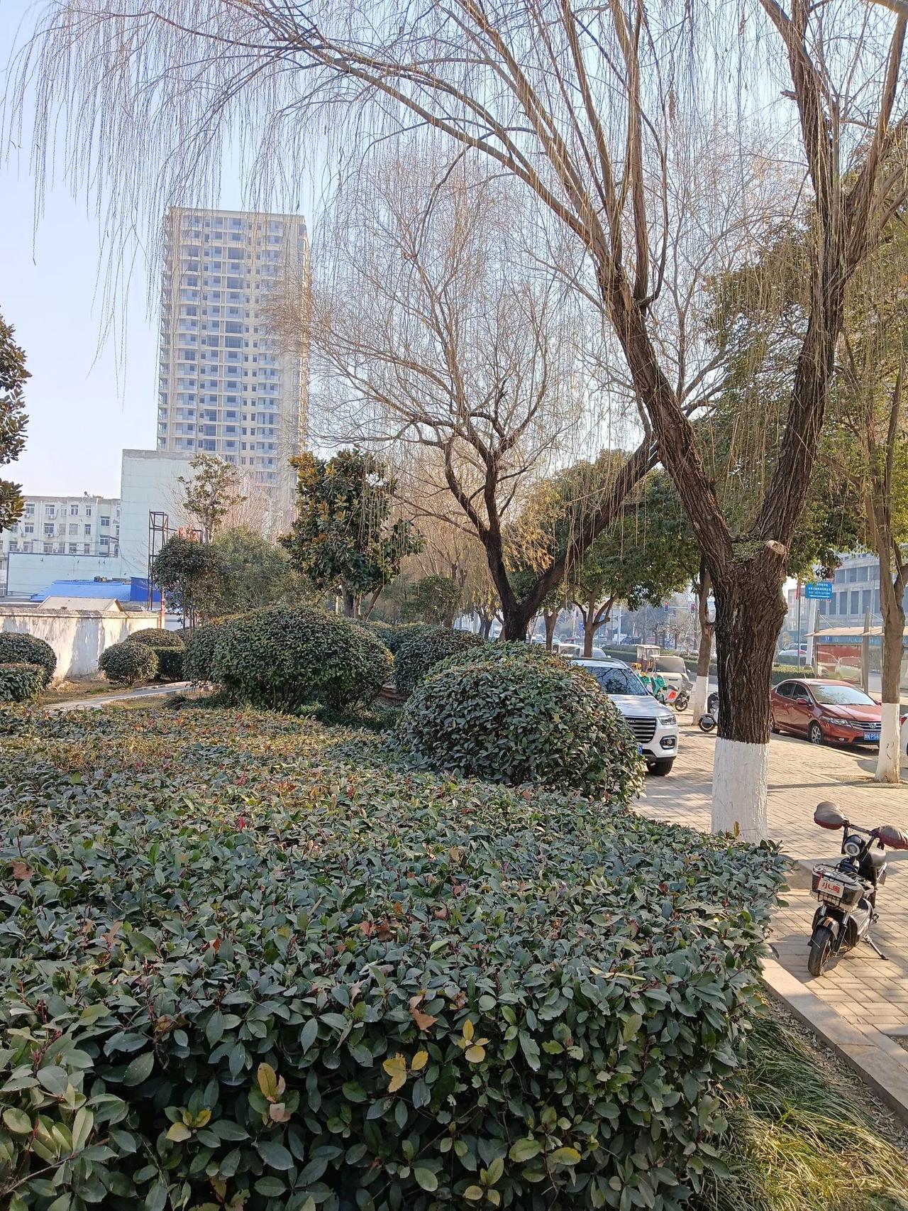 街拍分享