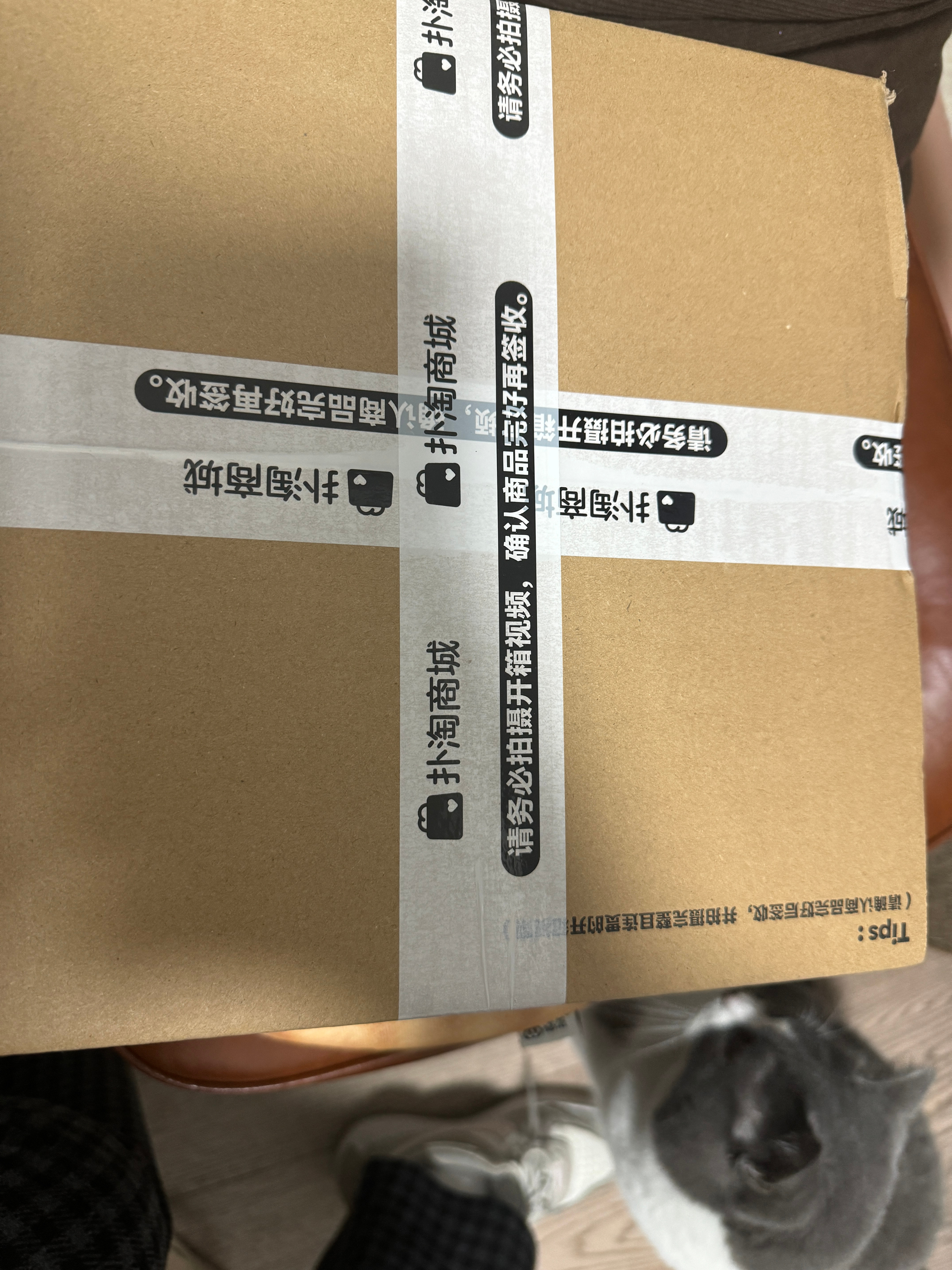 我说门口怎么有个快递，还扁扁的，想了一下，好像只有QQ音乐礼盒的形状是这样的，平