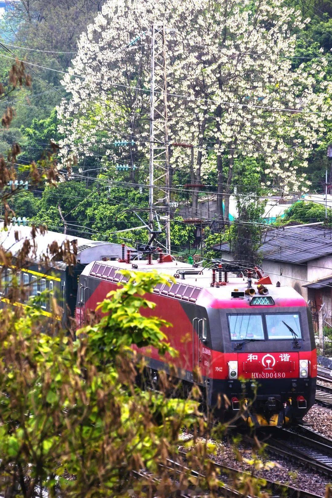 铁路,早安 生活总是让我们遍体鳞伤，但到后来，那些受伤的地方一定会变成我们最强壮