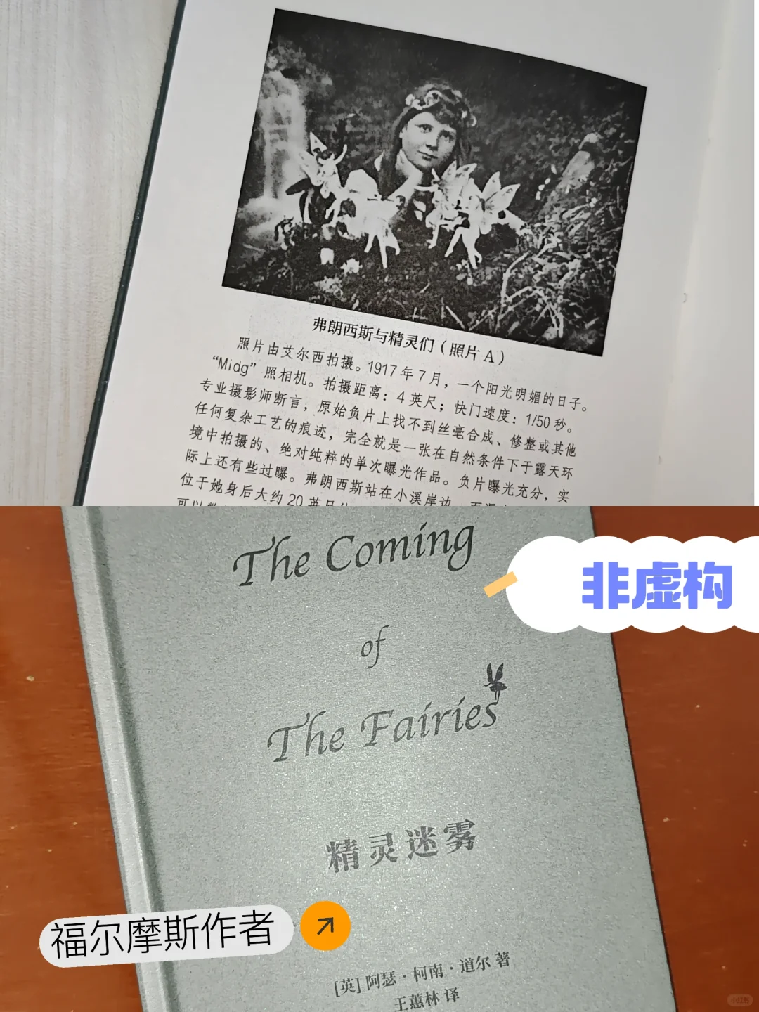 拍到了精灵？！直击长达半个世纪的谜团
